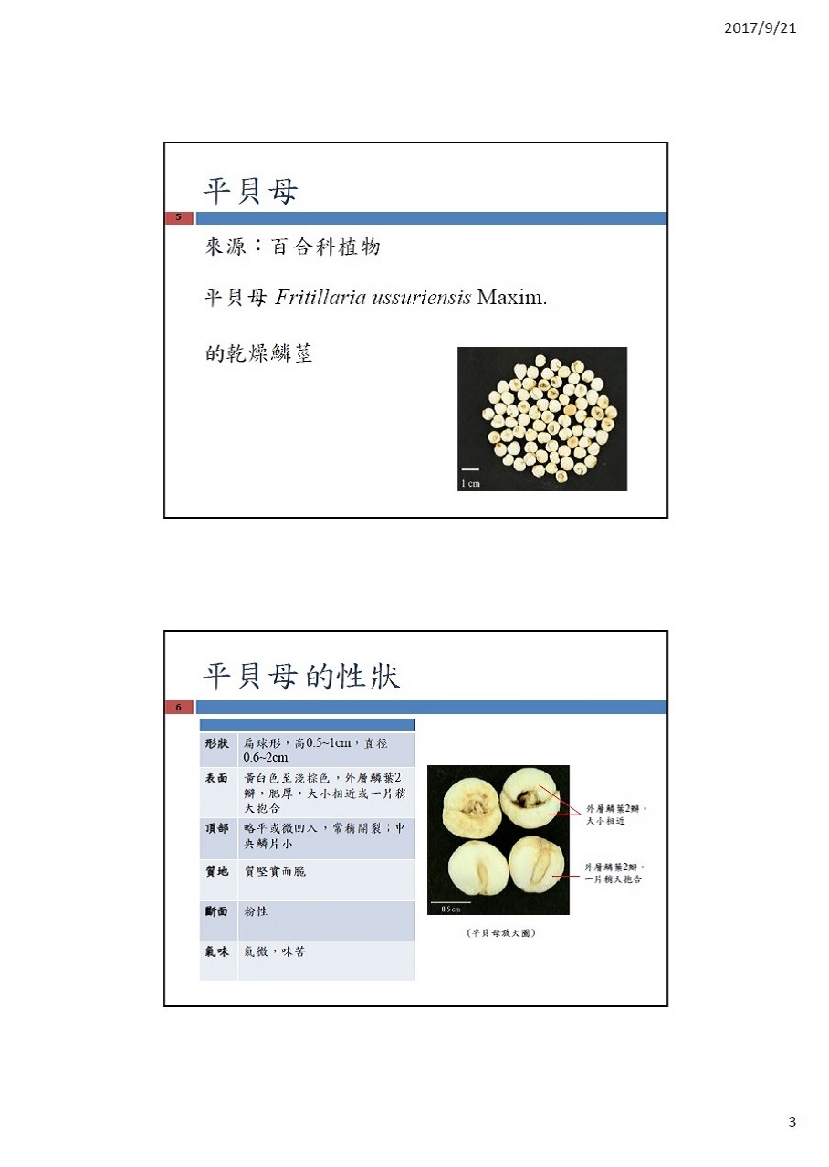 這幅圖片展示如何辨別「川貝母」與「平貝母」的專題文章的第3頁，內容請閱讀以下文字