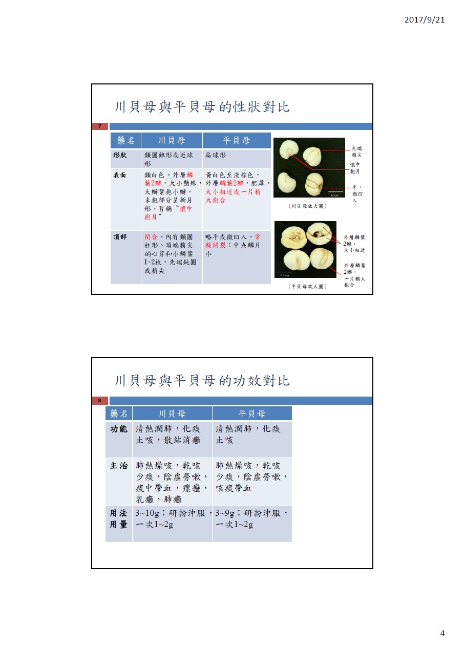 這幅圖片展示如何辨別「川貝母」與「平貝母」的專題文章的第4頁，內容請閱讀以下文字