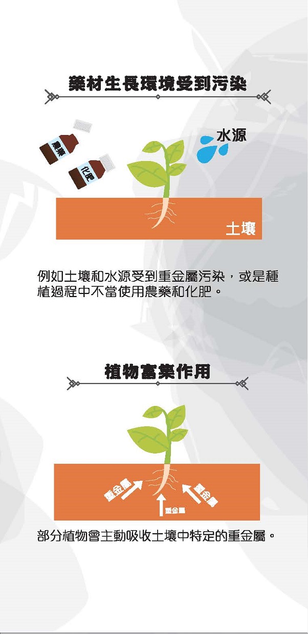 此圖片展示《藥材與重金屬》單張的第3頁
