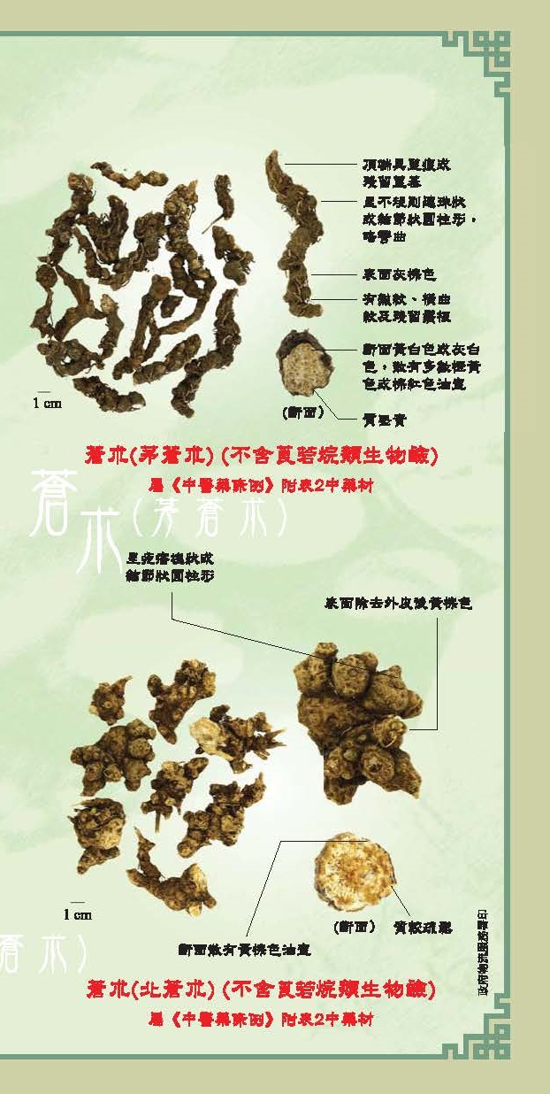 此图片展示《安全使用含莨菪烷类生物碱中药材》单张的第6页