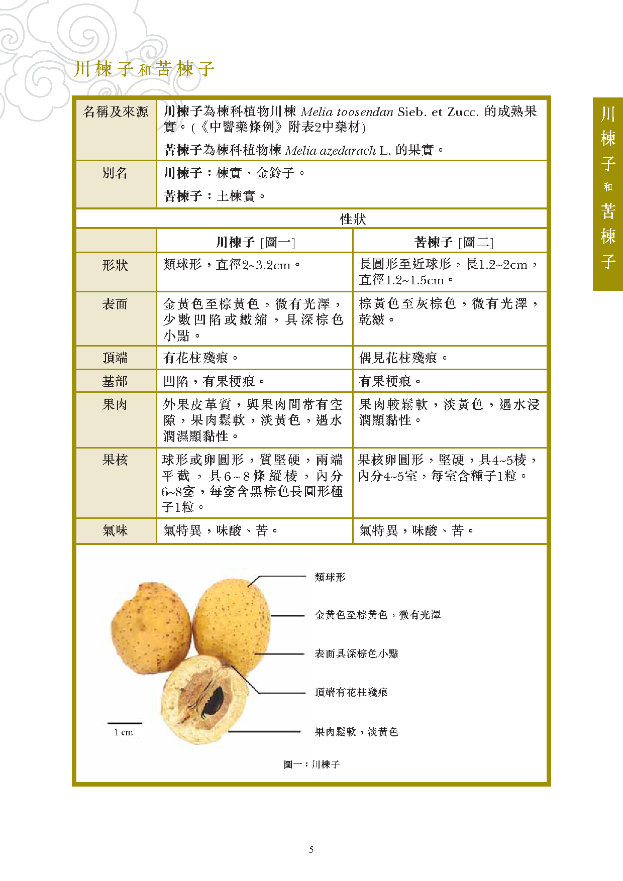 此圖片展示《曾與香港不良事件有關的中藥材參考資料》刊物的第5頁