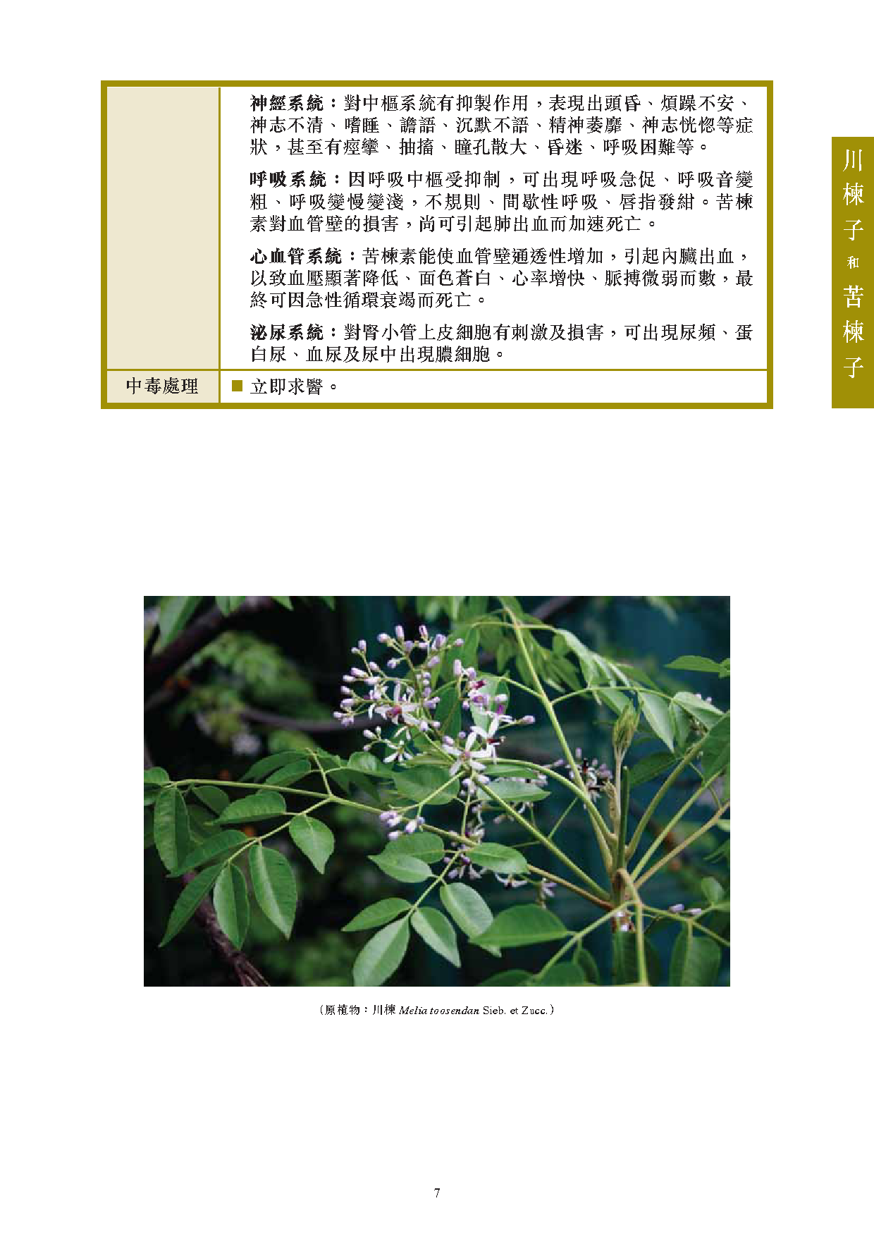 此圖片展示《曾與香港不良事件有關的中藥材參考資料》刊物的第7頁