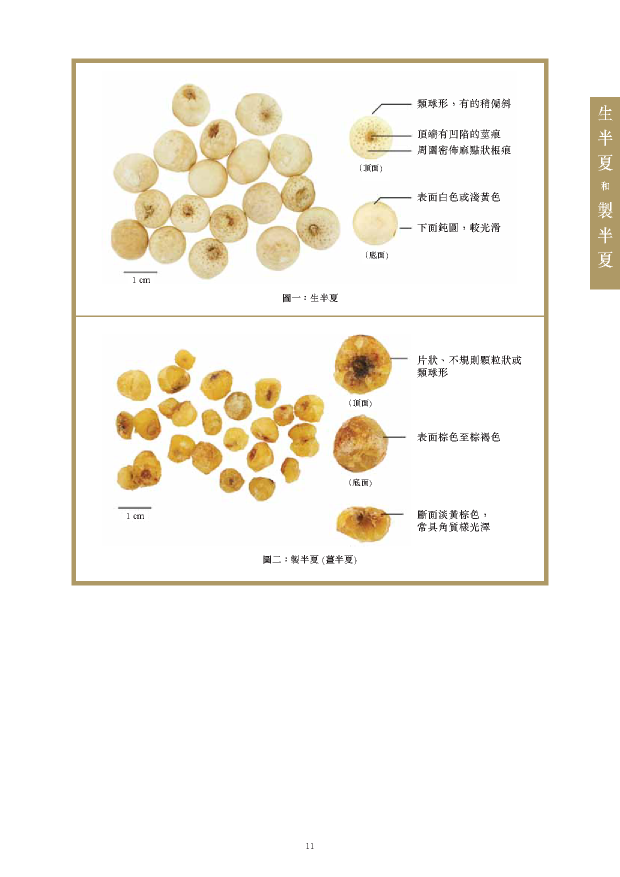 此圖片展示《曾與香港不良事件有關的中藥材參考資料》刊物的第11頁