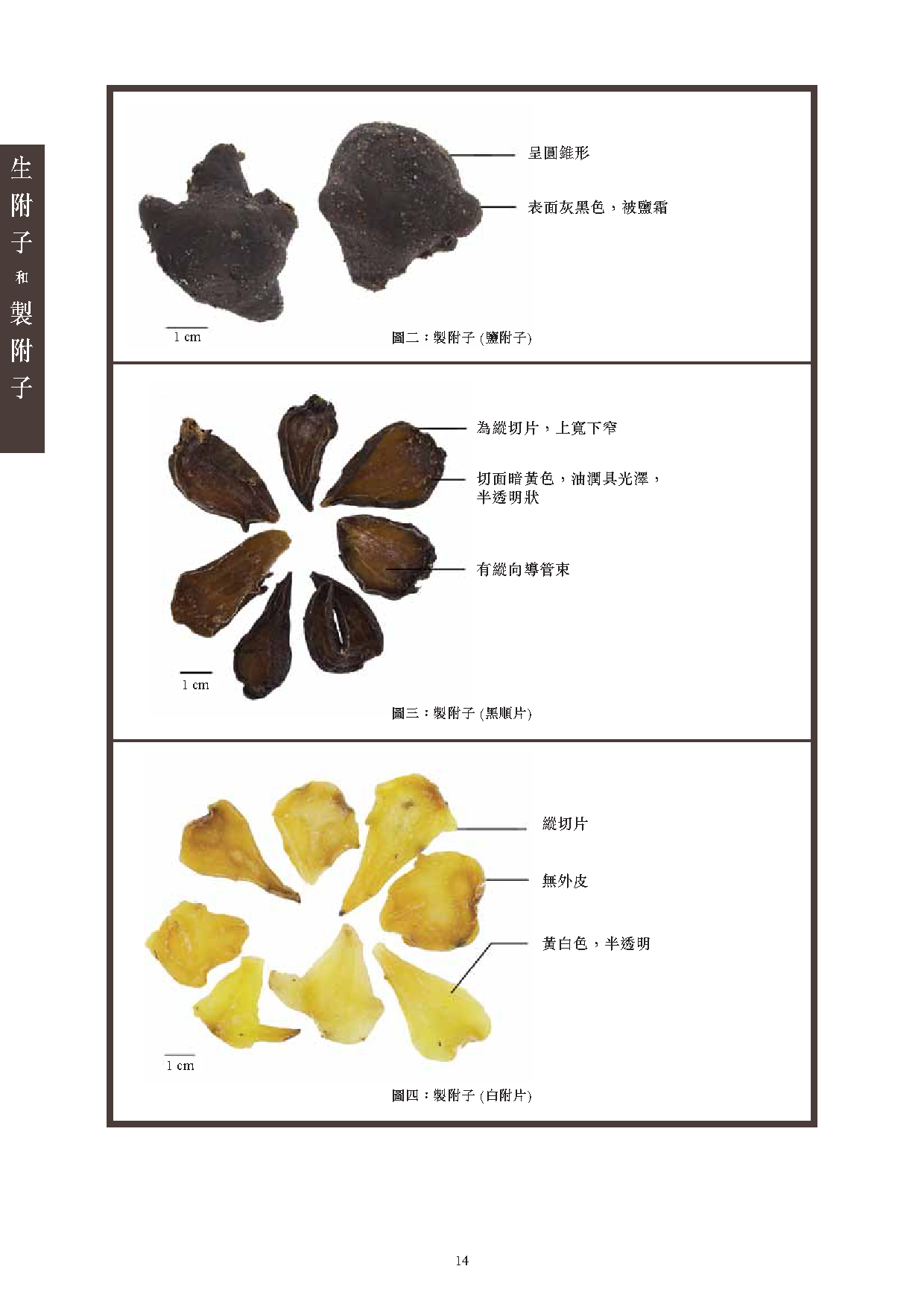 此圖片展示《曾與香港不良事件有關的中藥材參考資料》刊物的第14頁