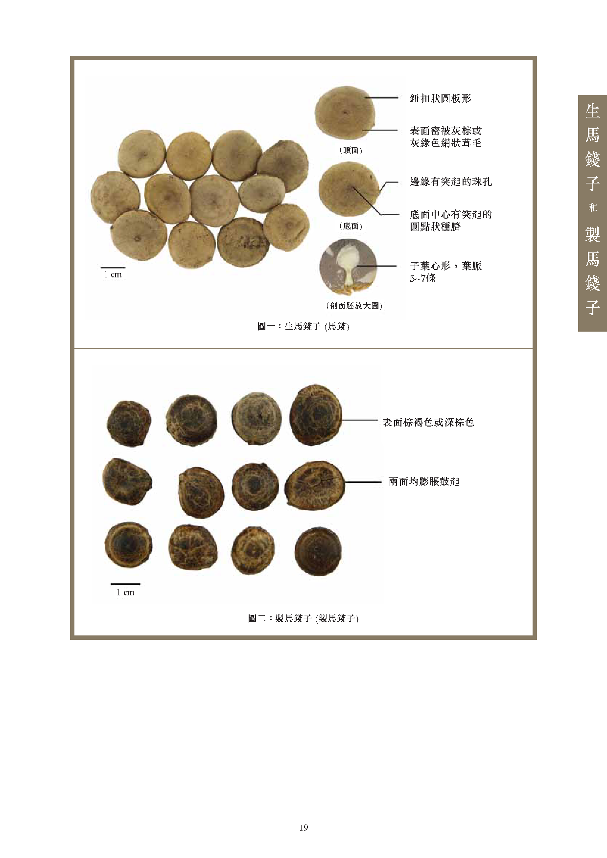 此圖片展示《曾與香港不良事件有關的中藥材參考資料》刊物的第19頁