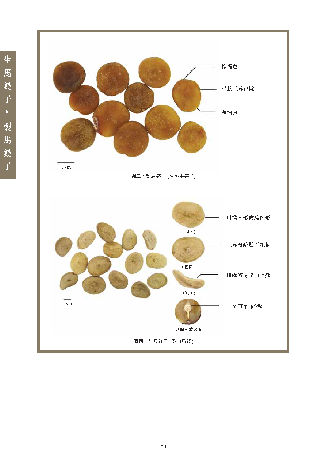 此圖片展示《曾與香港不良事件有關的中藥材參考資料》刊物的第20頁