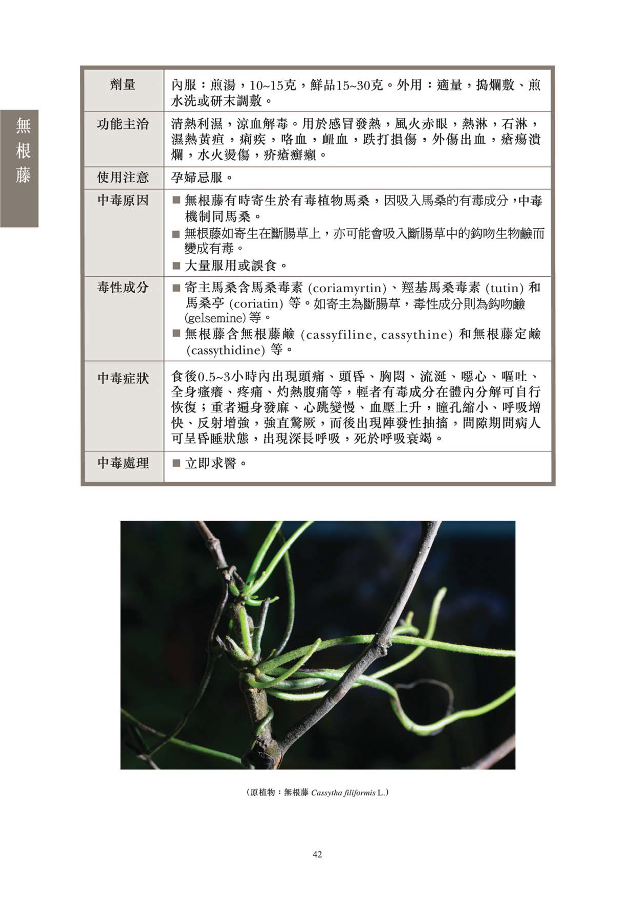 此圖片展示《曾與香港不良事件有關的中藥材參考資料》刊物的第42頁