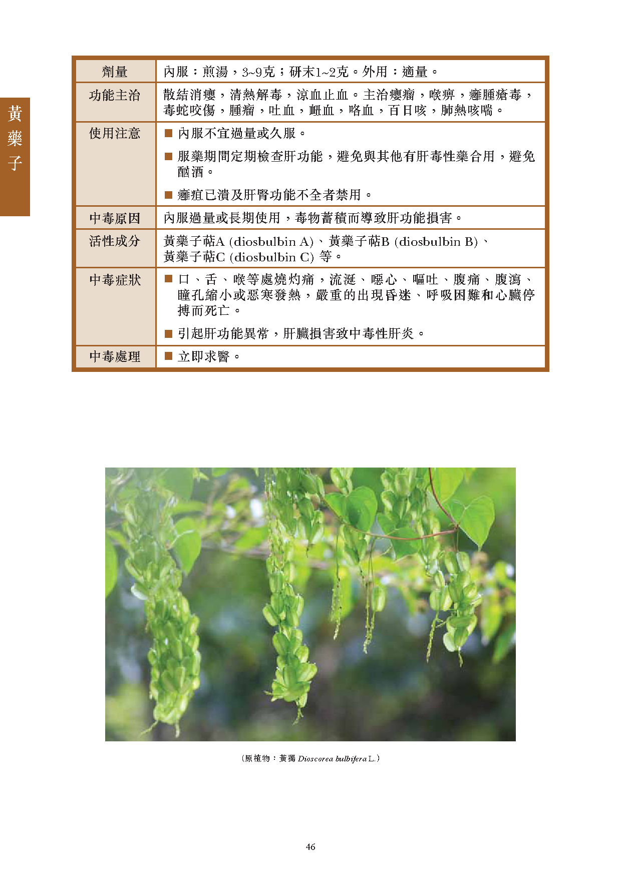 此圖片展示《曾與香港不良事件有關的中藥材參考資料》刊物的第46頁
