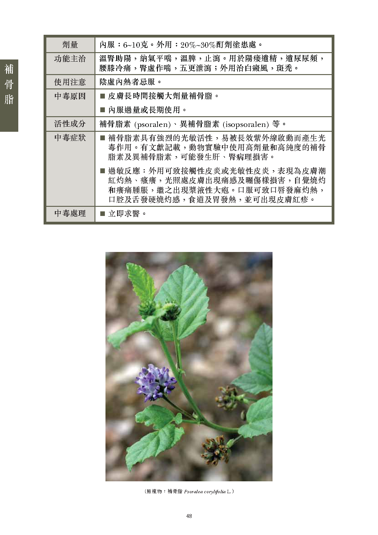此圖片展示《曾與香港不良事件有關的中藥材參考資料》刊物的第48頁
