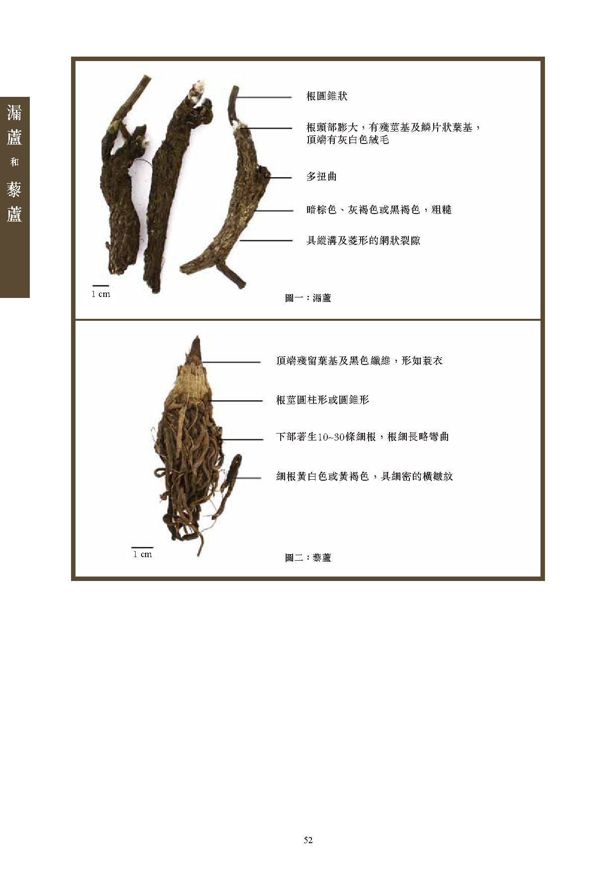 此圖片展示《曾與香港不良事件有關的中藥材參考資料》刊物的第52頁