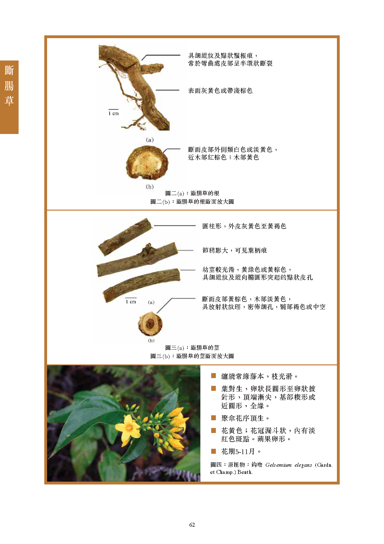 此圖片展示《曾與香港不良事件有關的中藥材參考資料》刊物的第62頁