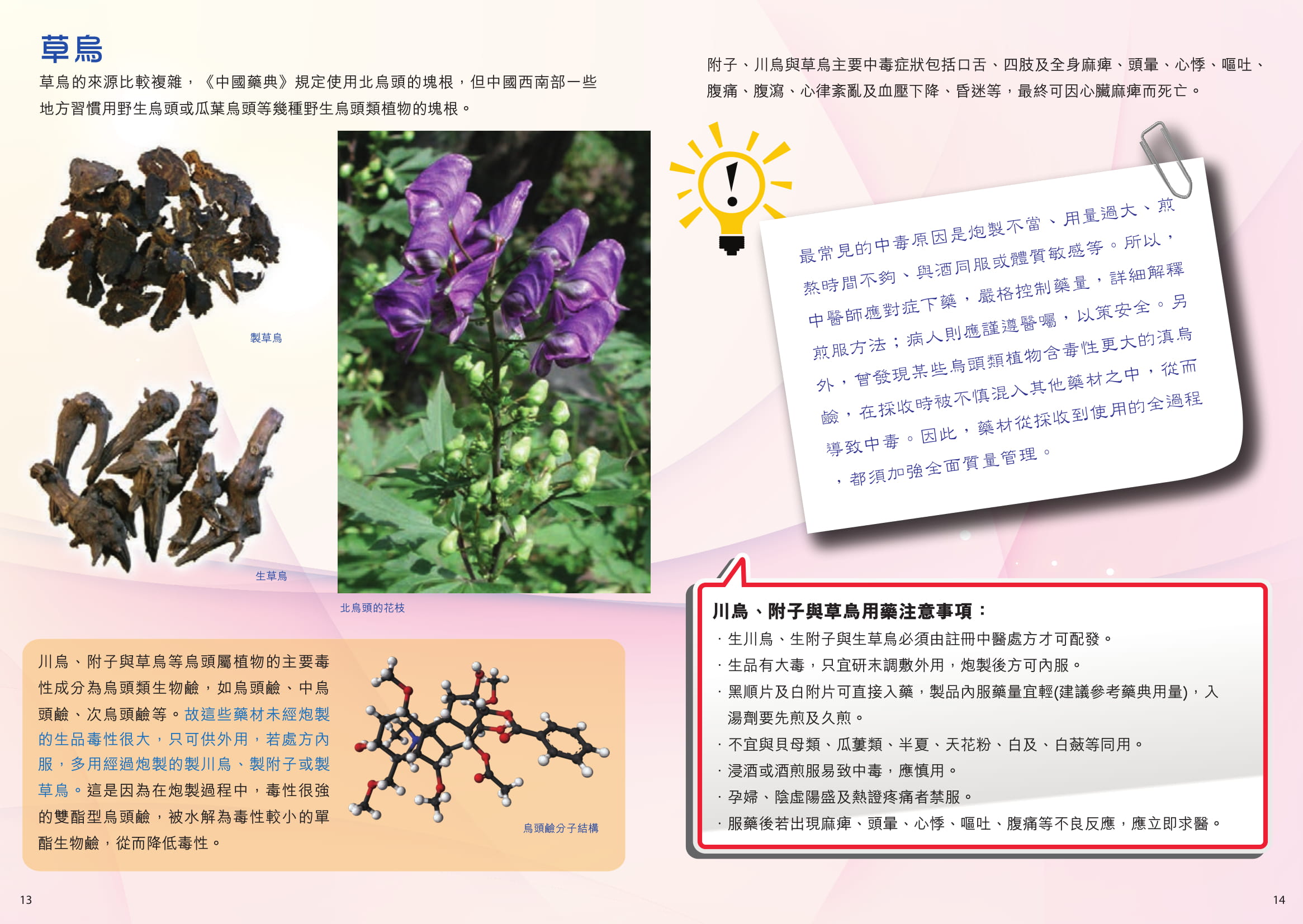 此圖片展示《中藥趣談II》刊物的第13至14頁