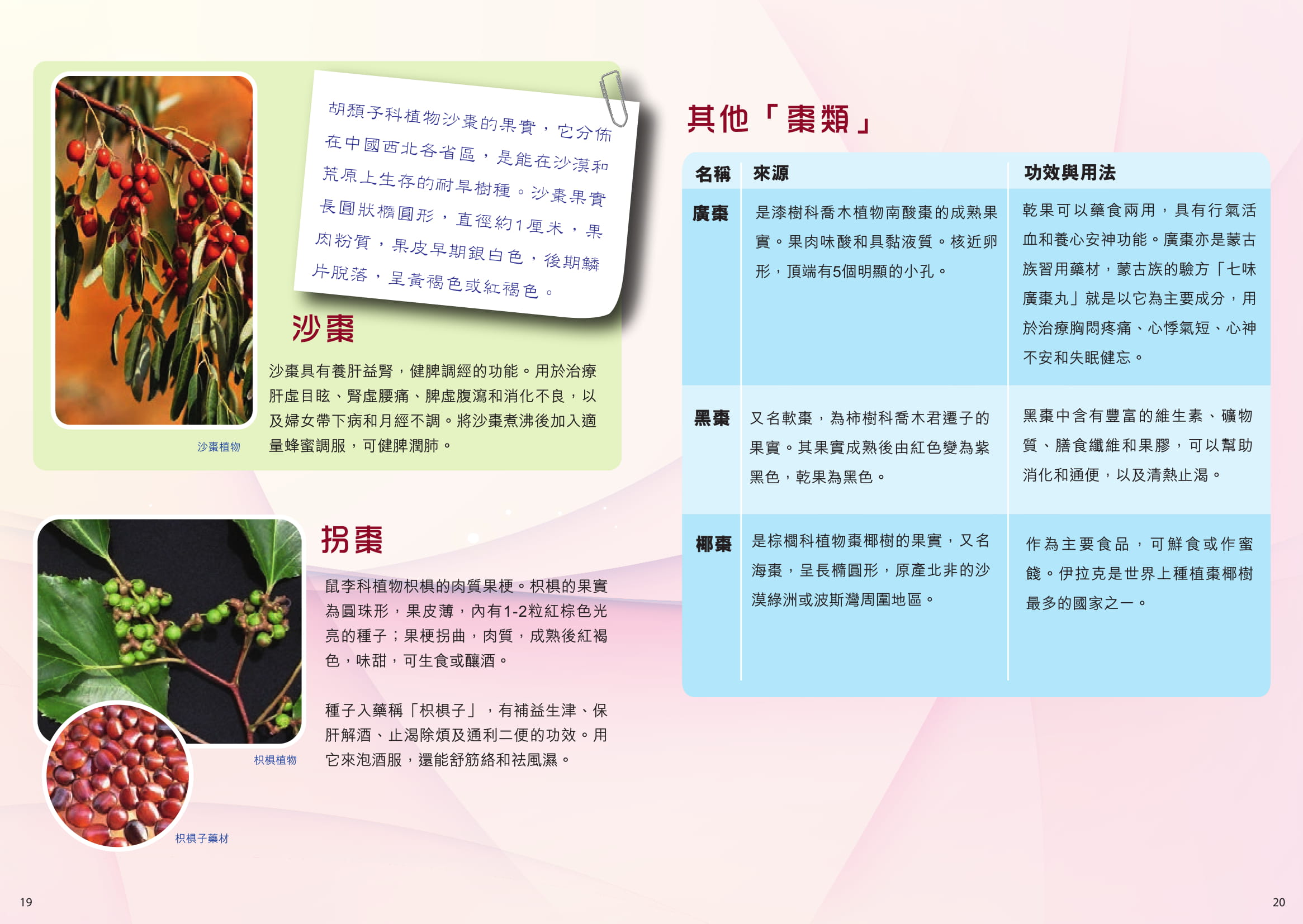 此圖片展示《中藥趣談II》刊物的第19至20頁