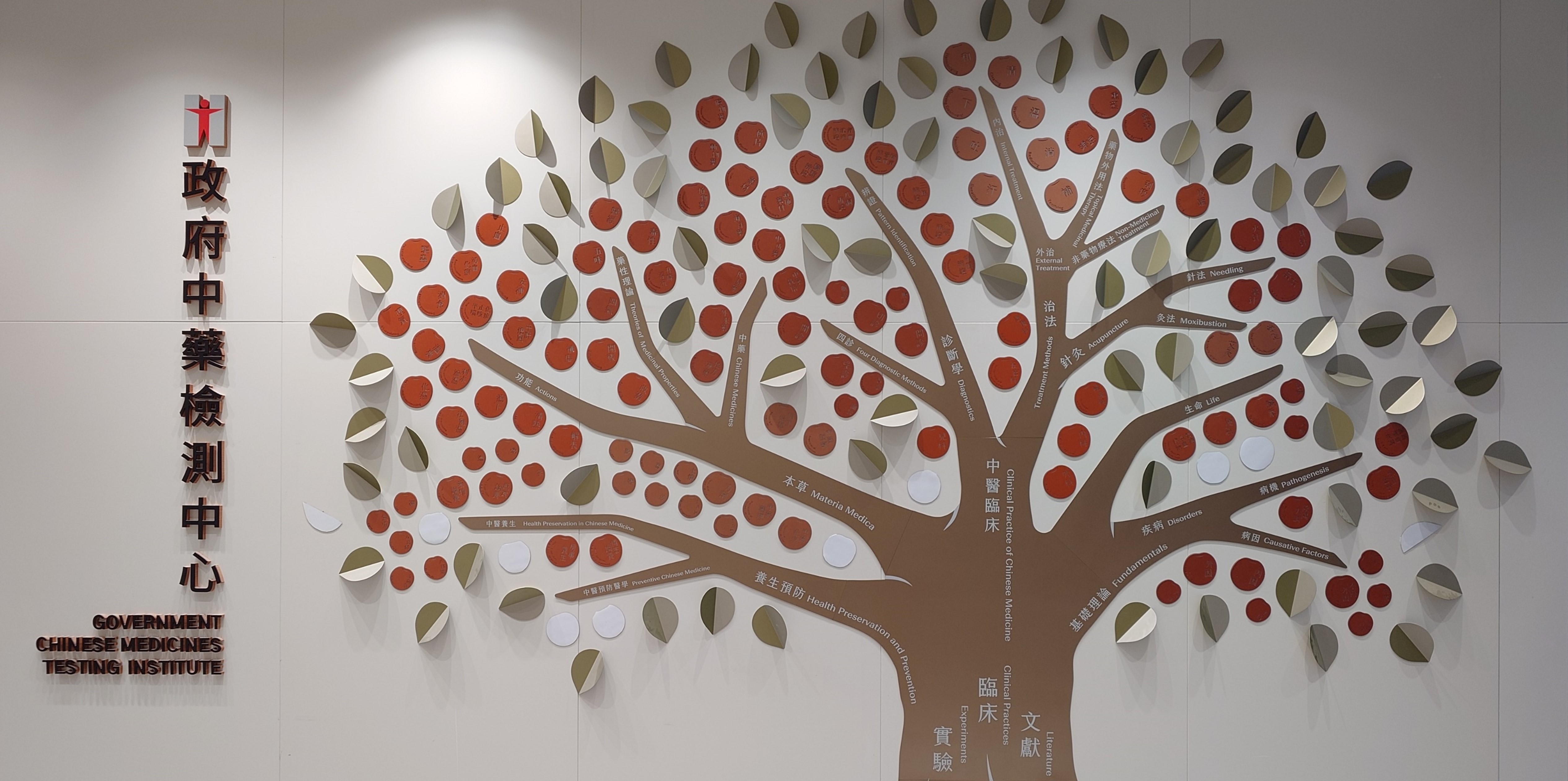 The first phase of the Government Chinese Medicines Testing Institute commenced service on 11 December 2025