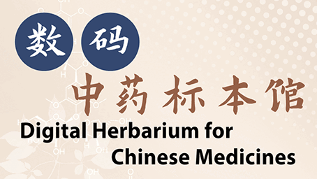 数码中药标本馆
