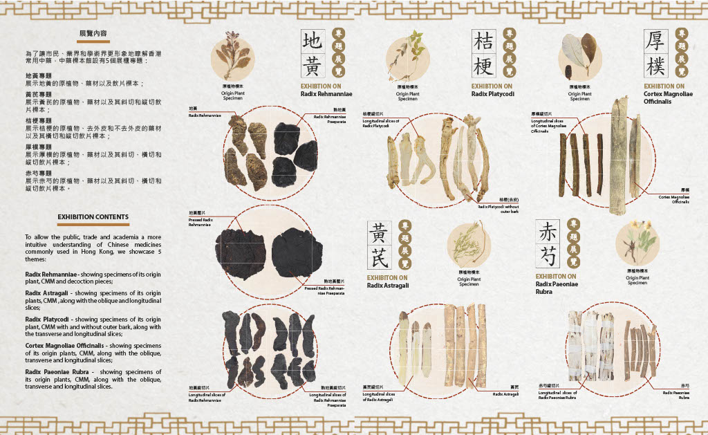 This picture demonstrates page 2 of pamphlet of Thematic Exhibition on Specimens of Chinese Medicines Commonly Used in Hong Kong, please read following paragraphs for details.