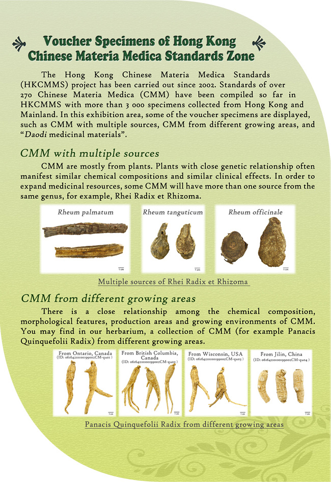 This picture demonstrates page 4 of pamphlet of Chinese Medicines Herbarium, please read following paragraphs for details.