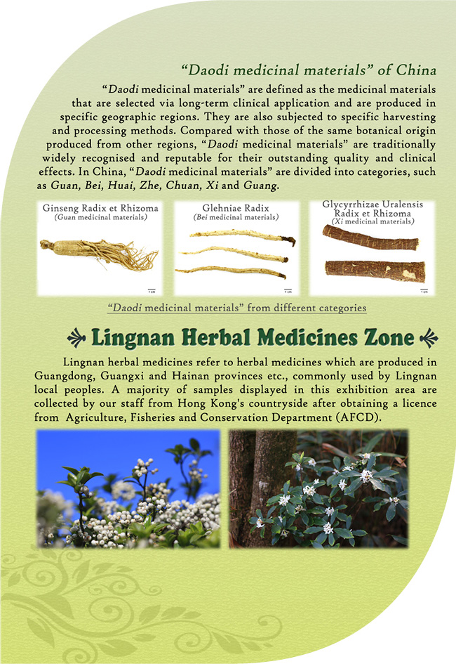This picture demonstrates page 5 of pamphlet of Chinese Medicines Herbarium, please read following paragraphs for details.