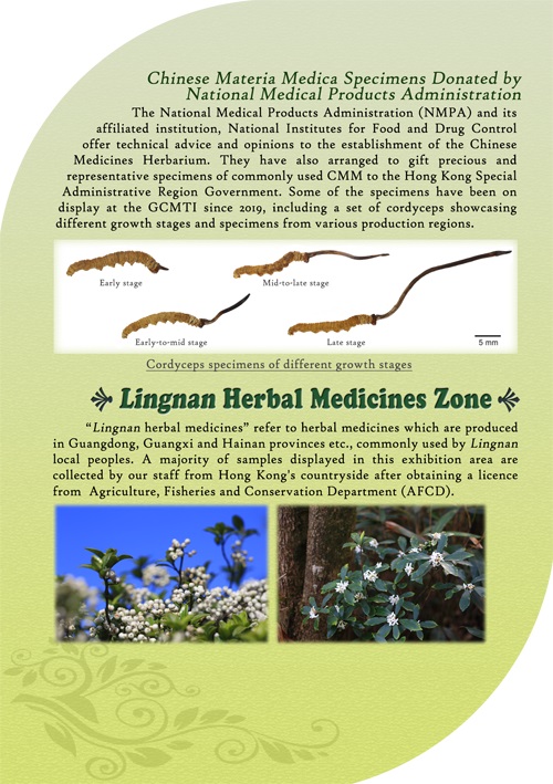 This picture demonstrates page 5 of pamphlet of Chinese Medicines Herbarium, please read following paragraphs for details.