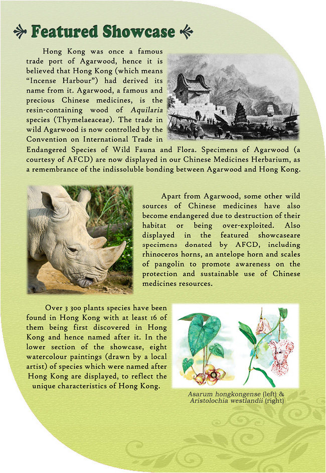 This picture demonstrates page 6 of pamphlet of Chinese Medicines Herbarium, please read following paragraphs for details.