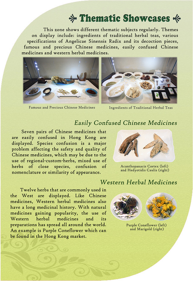 This picture demonstrates page 7 of pamphlet of Chinese Medicines Herbarium, please read following paragraphs for details.