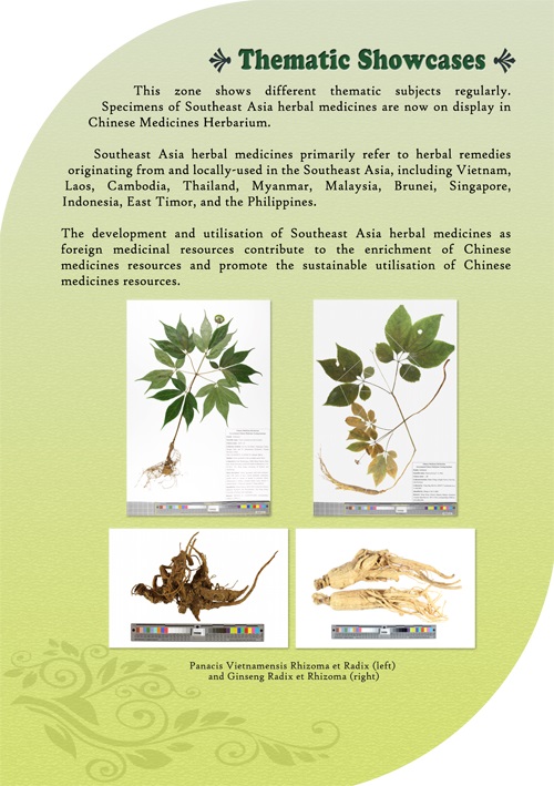 This picture demonstrates page 7 of pamphlet of Chinese Medicines Herbarium, please read following paragraphs for details.