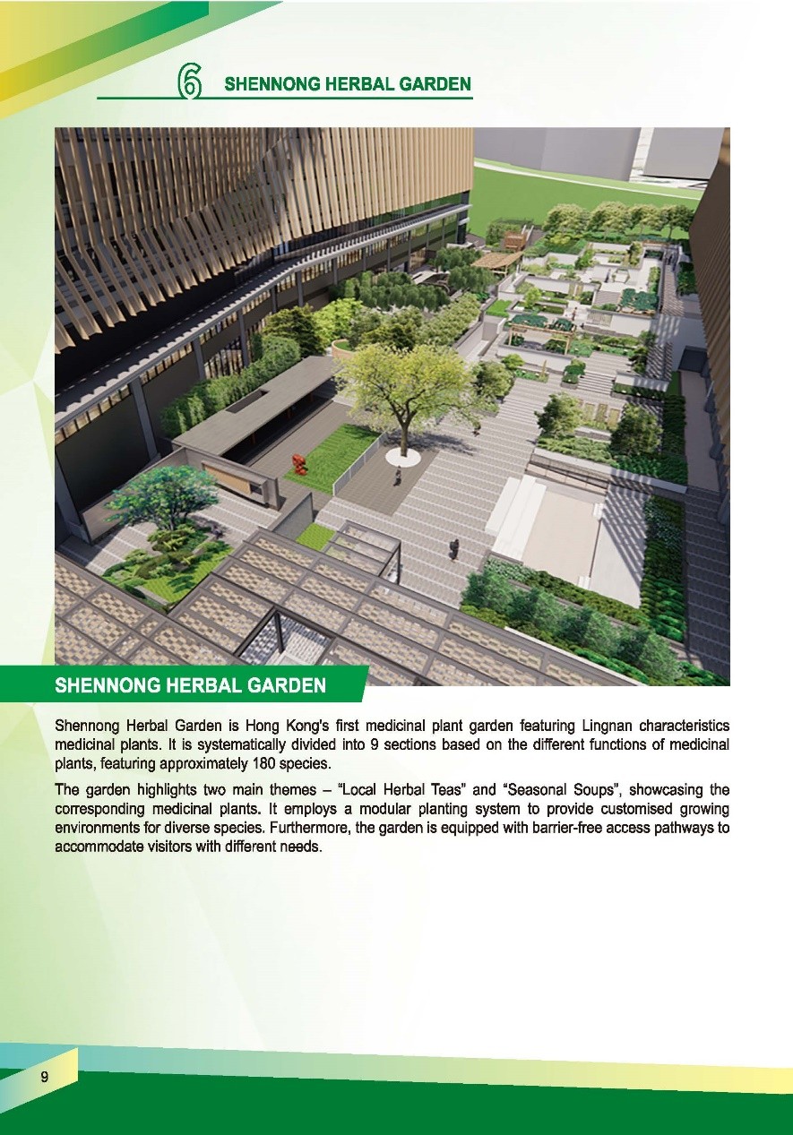 This picture demonstrates page 7 of pamphlet of Chinese Medicines Herbarium, please read following paragraphs for details.