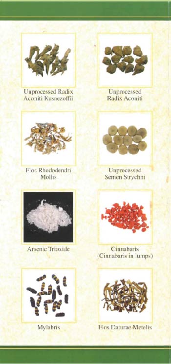 This picture demonstrates page 3 of the pamphlet entitled "General Knowledge of Toxic Chinese Herbal Medicines"