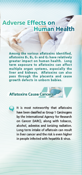 Herbal Medicines and Aflatoxins Page 3
