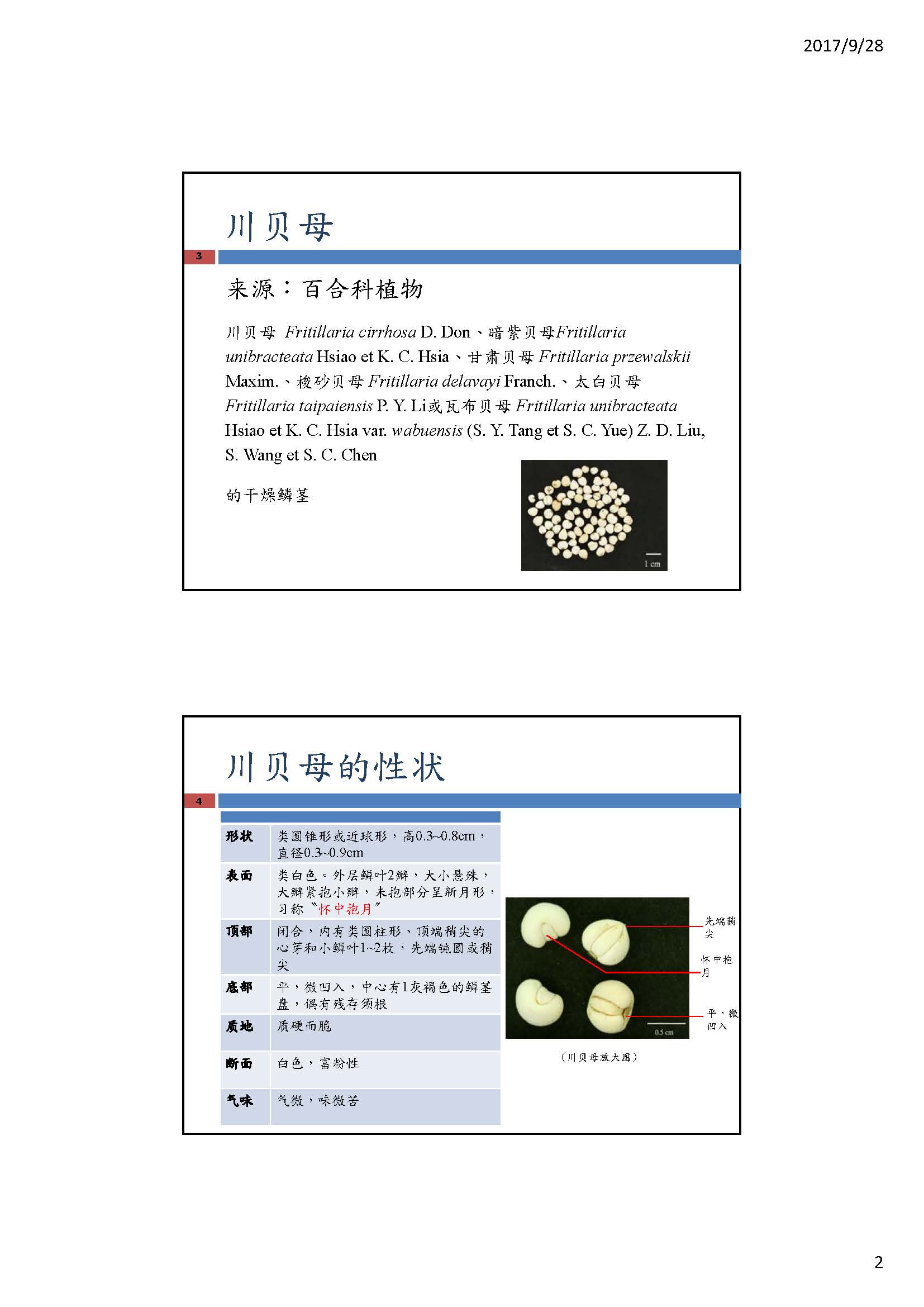 这幅图片展示如何辨别「川贝母」与「平贝母」的专题文章的第2页，内容请阅读以下文字