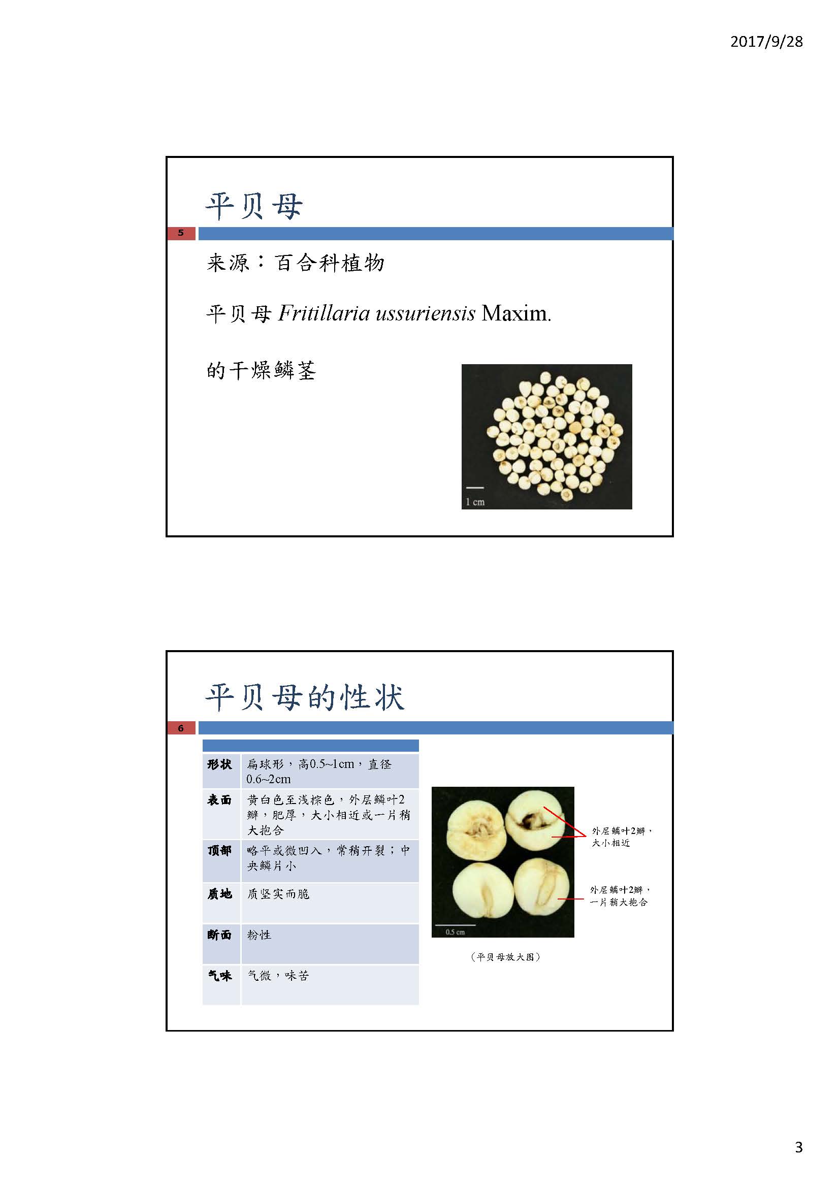 这幅图片展示如何辨别「川贝母」与「平贝母」的专题文章的第3页，内容请阅读以下文字