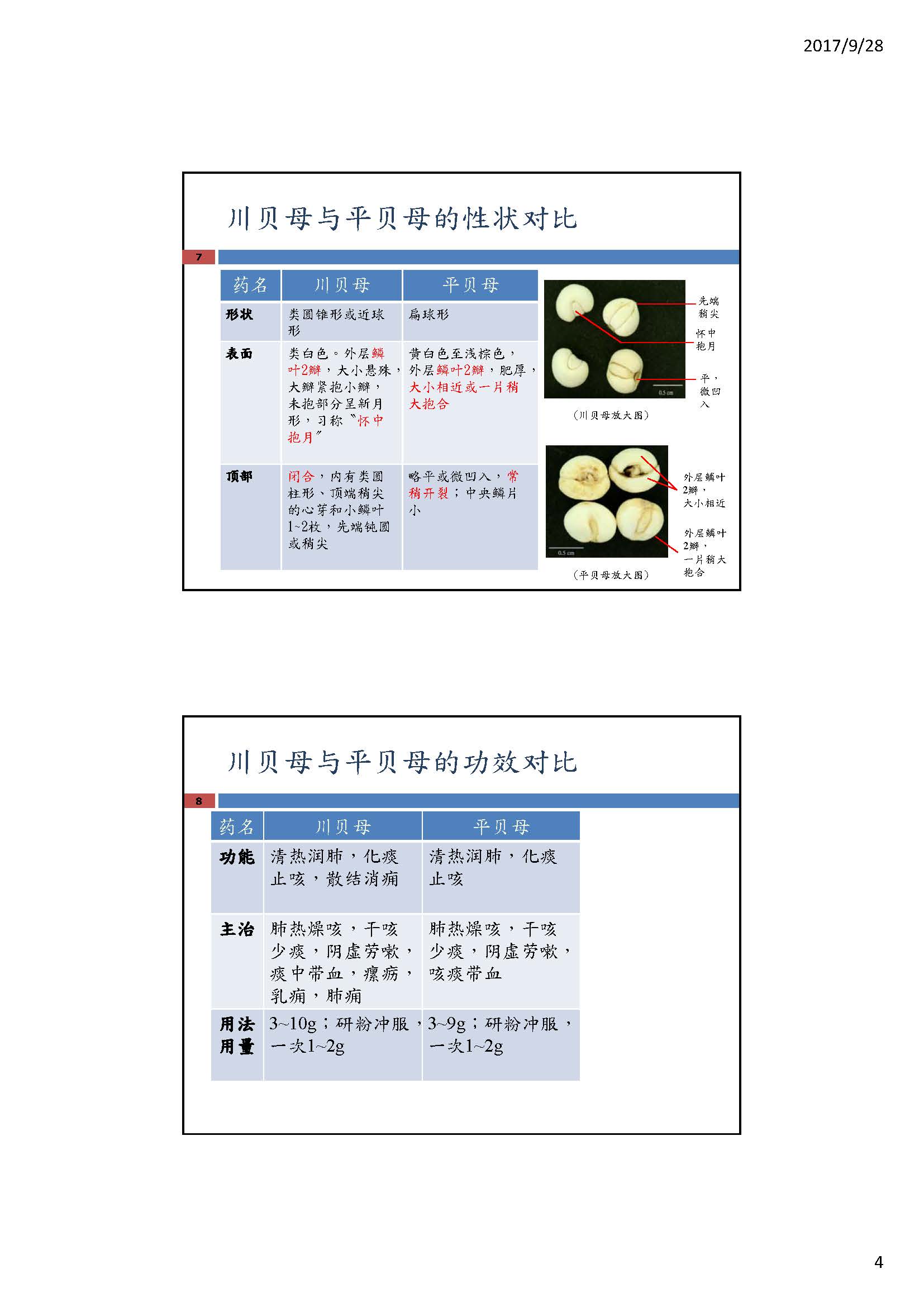 这幅图片展示如何辨别「川贝母」与「平贝母」的专题文章的第4页，内容请阅读以下文字