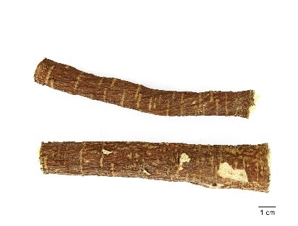 甘草(西药) 甘草(西药)