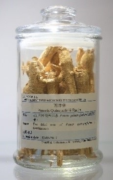 medicinal materials specimens with their corresponding microscopic slides