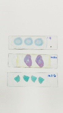 medicinal materials specimens with their corresponding microscopic slides