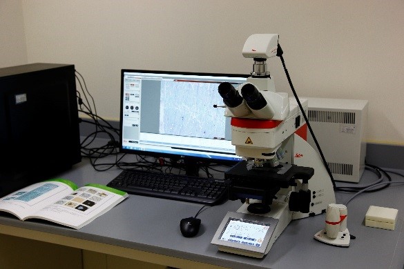 Macroscopic and Microscopic Identification Laboratory