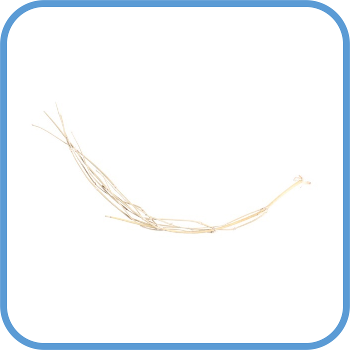 Herba Ephedrae (Ephedra sinica)