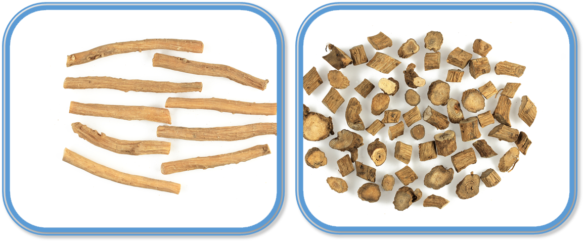 Radix Achyranthis Bidentatae versus Radix Cyathulae