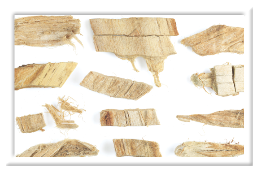 Cortex Ulmi Pumilae​