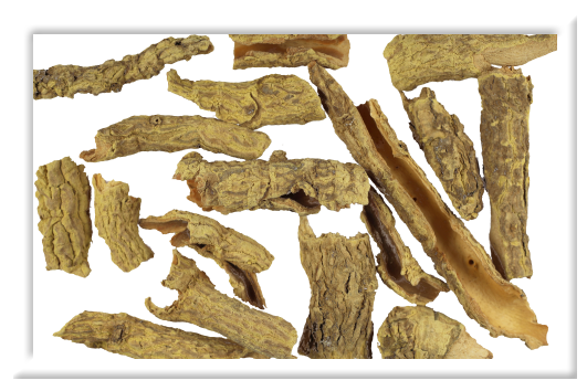 Jasmini Giraldii Cortex​