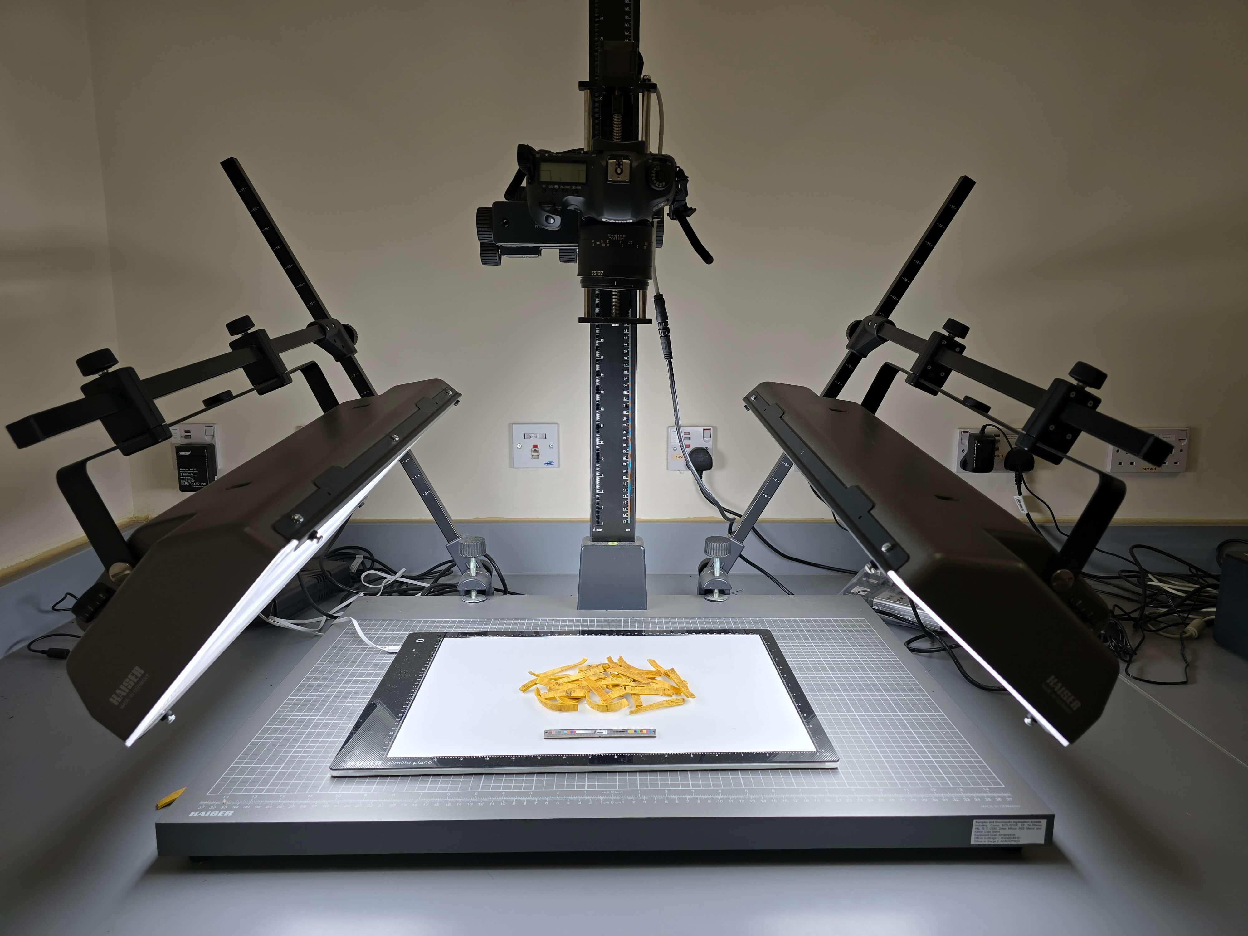 MACROSCOPIC IDENTIFICATION LABORATORY