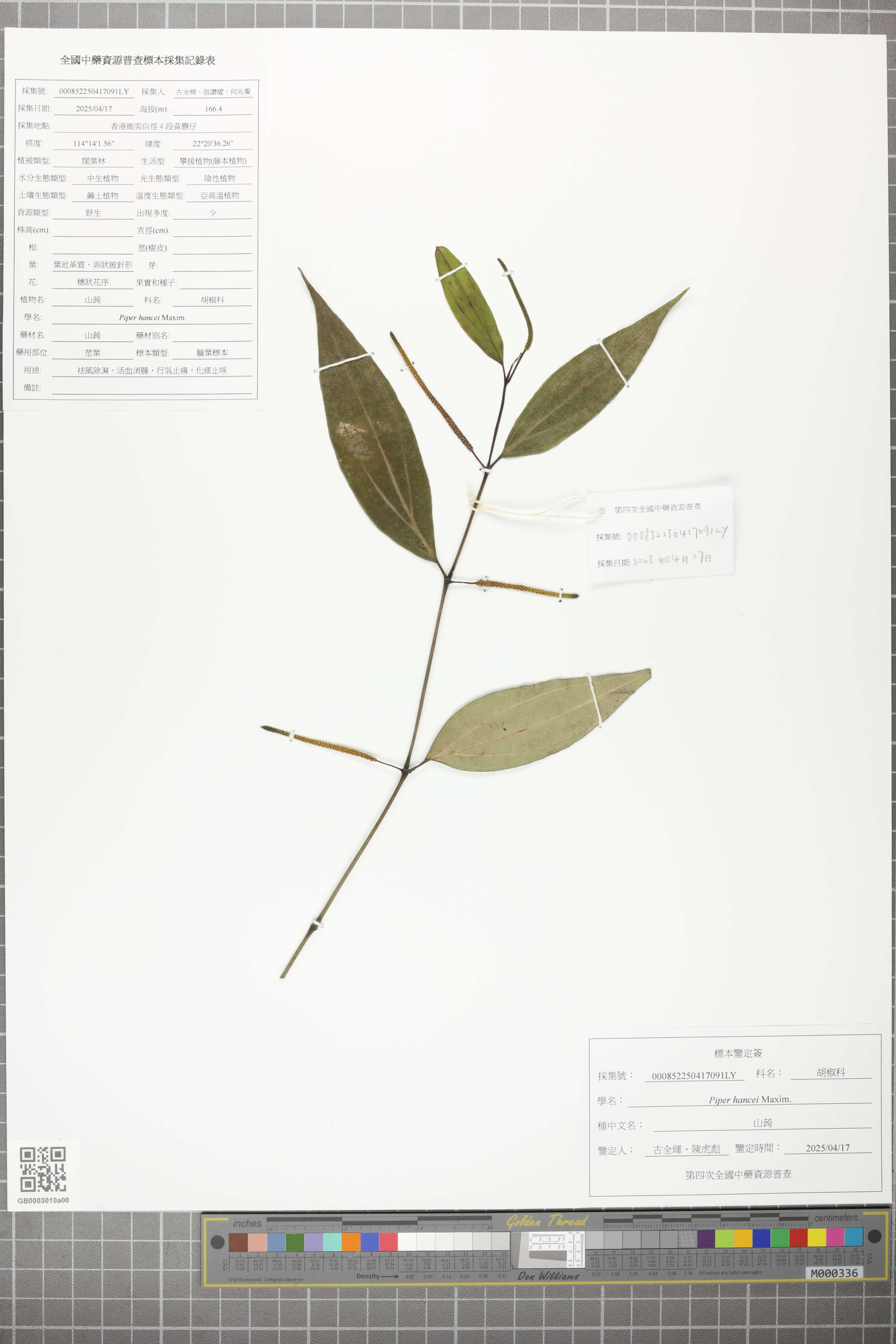 中国中药资源大典·香港卷