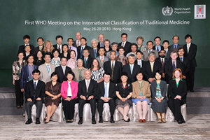 The First WHO Meeting on the International Classification of Traditional Medicine