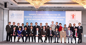 Experts' Consultation Meeting on Regional Strategy for Traditional Medicine in the Western Pacific Region, 2011-2020