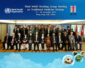 Third WHO Working Group Meeting on Traditional Medicine Strategy