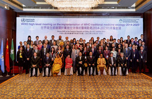 WHO high-level meeting on the implementation of WHO traditional medicine strategy: 2014-2023