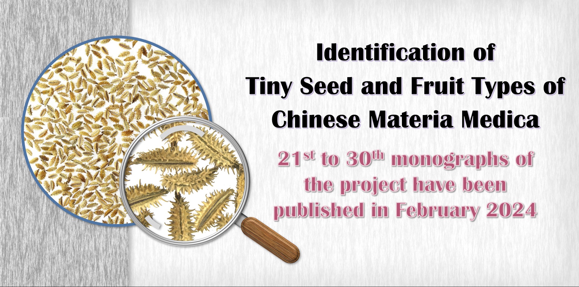 The 6th to 10th monographs of project “Identification of Tiny Seed and Fruit Types of Chinese Materia Medica” have been published in February 2023