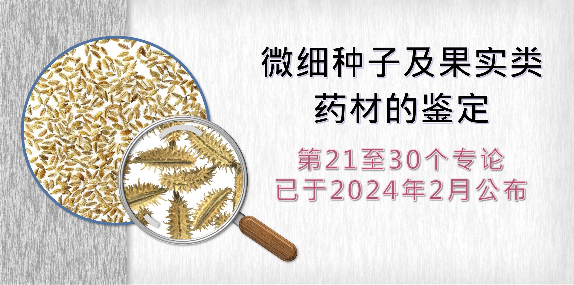 「微细种子及果实类药材的鉴定」研究第21至30个专论已于2024年2月公布