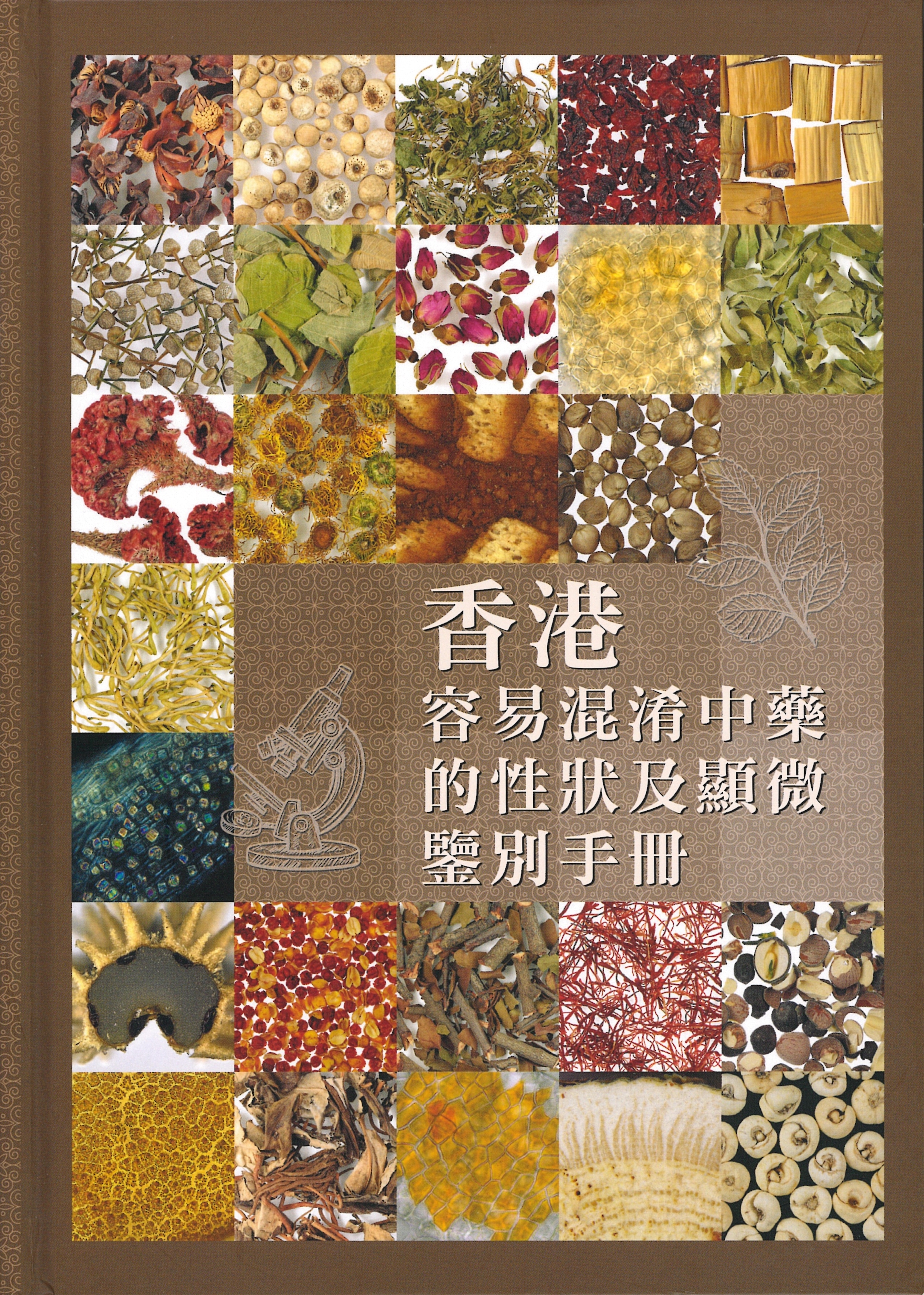 研究成果